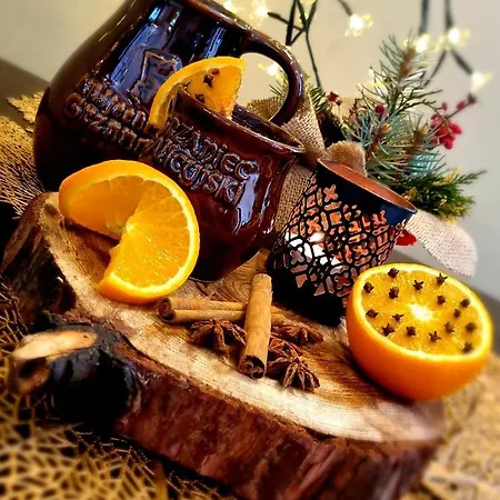 酒店 Hotel Klodzko 3*